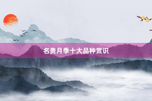 名贵月季十大品种赏识